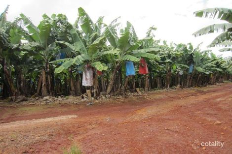 Property photo of 289 Eubenangee Road Eubenangee QLD 4860