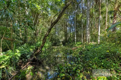 Property photo of 35 Lake Macdonald Drive Cooroy QLD 4563