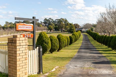 Property photo of 264 Ironcliffe Road Penguin TAS 7316
