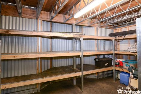 Property photo of 26 River Road Millgrove VIC 3799