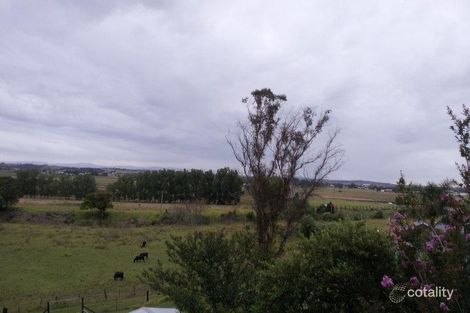 Property photo of 19 Wallis Street East Maitland NSW 2323