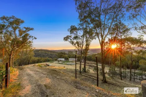 953 Brewers Rd, Indigo Valley, VIC 3688