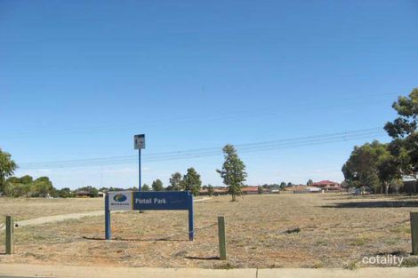 33 Cardigan Cres, Taylors Lakes, VIC 3038