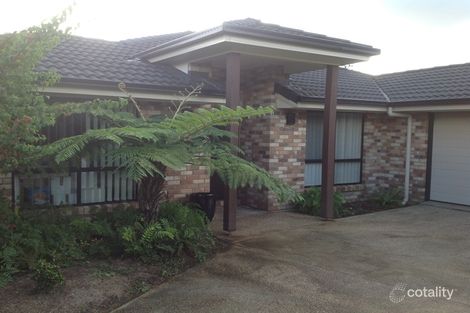 Property photo of 51 Oak Street Cooroy QLD 4563