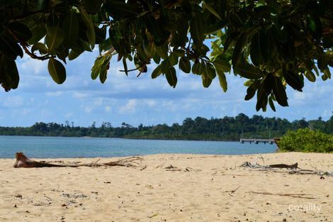 Property photo of 8 James Road Mission Beach QLD 4852