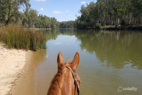 479 Brimin Rd, Brimin, VIC 3685