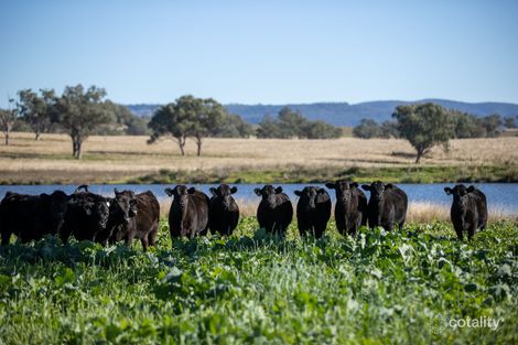 3243 Trevallyn Rd, Upper Horton, NSW 2347