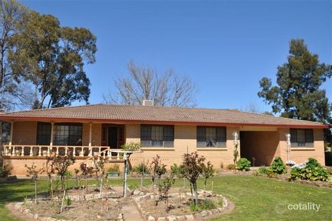 Property photo of 11527 The Escort Way Forbes NSW 2871
