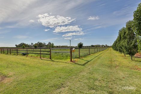 Property photo of 89 Moonah Street Red Cliffs VIC 3496
