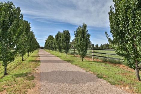 Property photo of 89 Moonah Street Red Cliffs VIC 3496