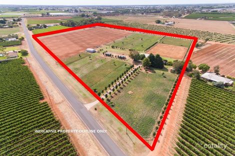 Property photo of 89 Moonah Street Red Cliffs VIC 3496