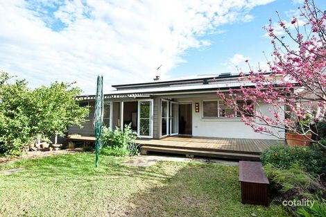 Property photo of 6 Wilga Avenue Dulwich Hill NSW 2203