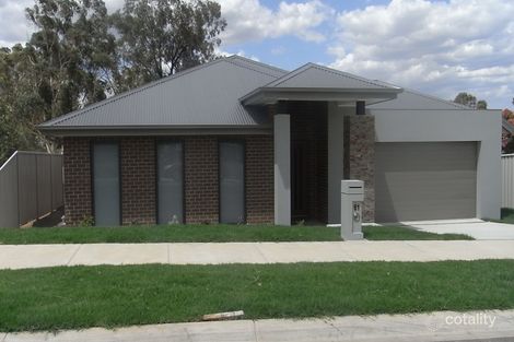 Property photo of 61 Lawson Circuit Lavington NSW 2641
