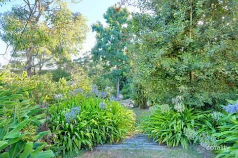 Property photo of 77 Martin Street Belgrave VIC 3160