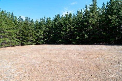 Property photo of 556 Dinsdale Road Gidgegannup WA 6083
