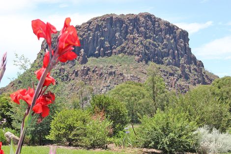 1287 Timor Rd, Coonabarabran, NSW 2357