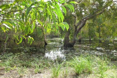 Property photo of 5 Fuchsia Court Bushland Beach QLD 4818