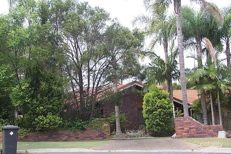 21 Pineneedle Pl, Sunnybank Hills, QLD 4109