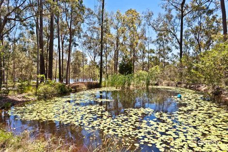 Property photo of 105 Torrens Road Petrie QLD 4502
