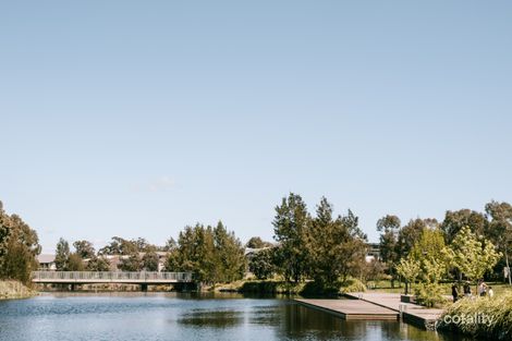 Property photo of 56 Max Purnell Street Forde ACT 2914