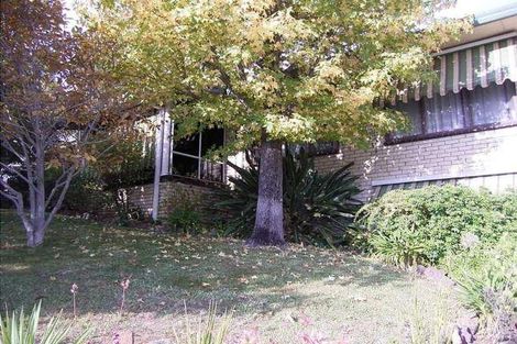 386 Paul Ave, Lavington, NSW 2641