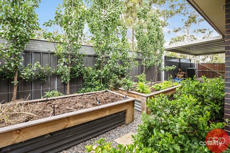 Property photo of 11 Corner Close East Maitland NSW 2323