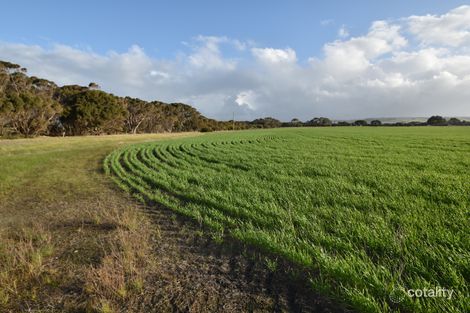 Property photo of 75 North Cape Road Bay Of Shoals SA 5223