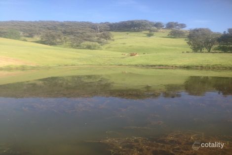 322 Sandy Creek Rd, Sandy Creek, VIC 3695