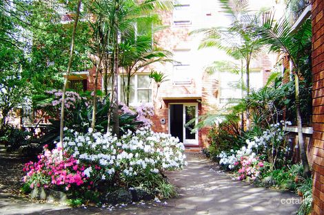 3/44 Waratah Ave, Randwick, NSW 2031