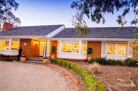 Property photo of 56 Gloucester Avenue Belair SA 5052