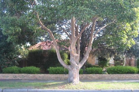 1 Magnolia Ave, Bentleigh East, VIC 3165