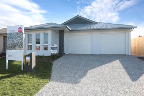 1/5 Como Pl, Waterford West, QLD 4133