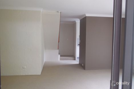 Property photo of 5/81 Armadale Street St Lucia QLD 4067