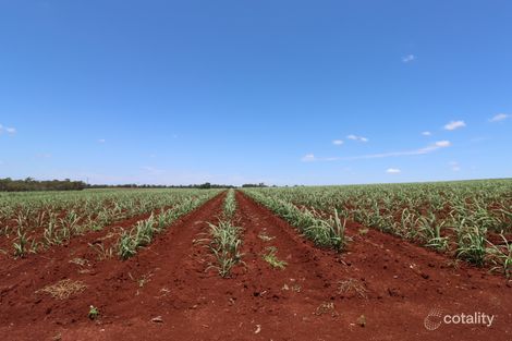 248 Tardas Rd, Gregory River, QLD 4660