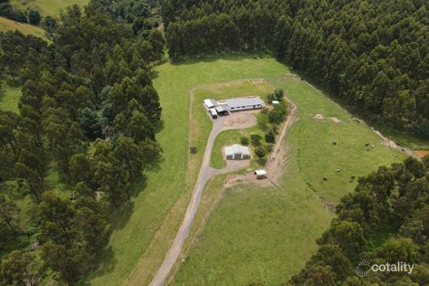 137 Otooles Rd, Wild Dog Valley, VIC 3953