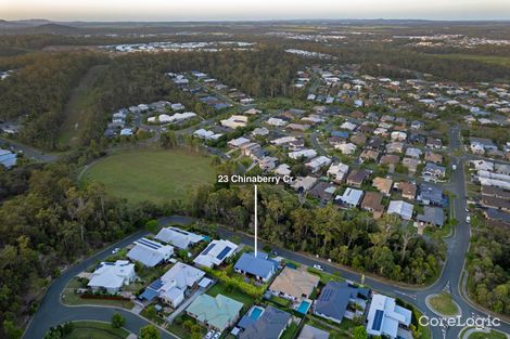 Property photo of 23 Chinaberry Crescent Upper Coomera QLD 4209