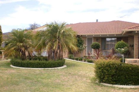 Property photo of 12 Woodlands Grove Hocking WA 6065