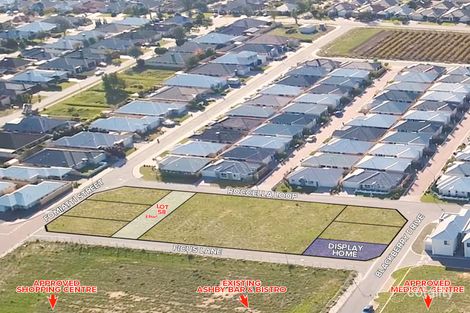 4 Roccella Loop, Ashby, WA 6065