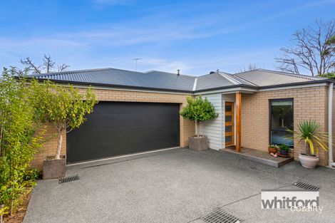 Property photo of 8B Morris Street Belmont VIC 3216