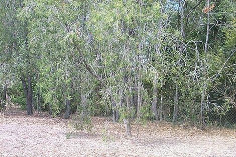 Lot 41 Puller St, Granville, QLD 4650