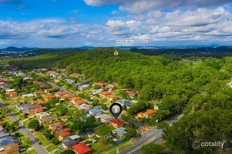 Property photo of 4 Indus Street Camp Hill QLD 4152