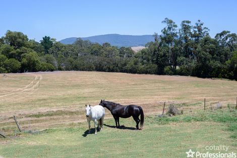 Property photo of 80 Pine Avenue Badger Creek VIC 3777