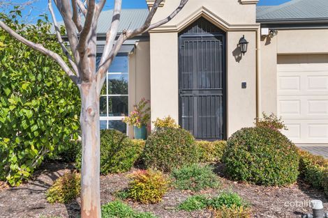 Property photo of 3 Bradman Court Kensington Park SA 5068