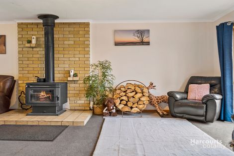 Property photo of 38 Marion Bay Road Copping TAS 7174