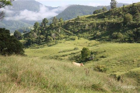 99 Anderson Rd, Nimbin, NSW 2480