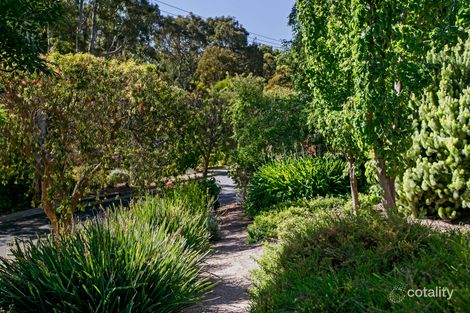 Property photo of 77 Thorngate Drive Belair SA 5052