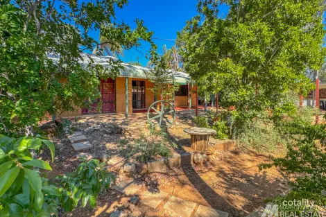 Property photo of 79 Lyndavale Drive Larapinta NT 0875