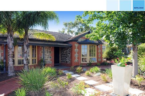 Property photo of 52 Burnbank Grove Athelstone SA 5076