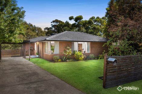 Property photo of 12 Lorikeet Court Mornington VIC 3931