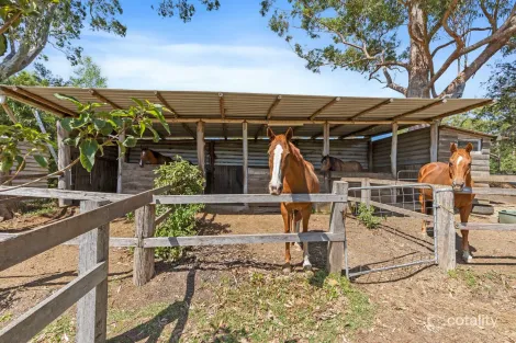 Property photo of 247A Old Princes Highway Termeil NSW 2539